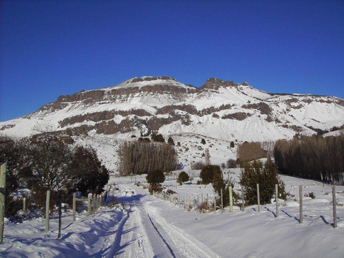 Imagen 5 de 11 de Venta Terreno 5000 M2 - San Martin De Los Andes