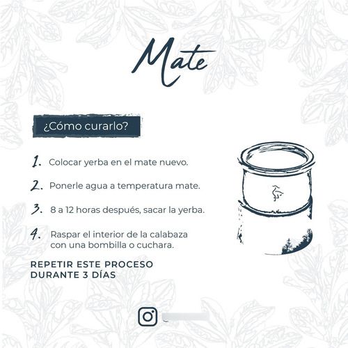 Imagen 4 de 6 de Mate De Calabaza Gallito Con Virola