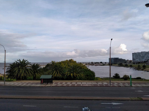 Imagen 3 de 30 de Rambla Armenia Y Benigno S. Paiva