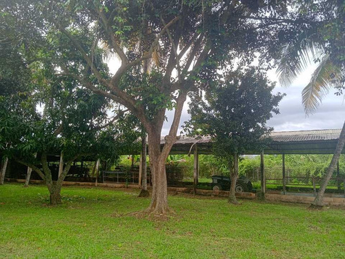 Imagen 3 de 30 de En Venta Finca Avicola Y Conejera Con Fondo De Comercio Para Embutidos