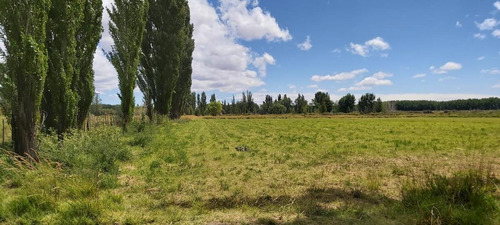 Imagen 23 de 25 de Venta Chacra Casa 2 Dormitorios Galpón - Picun Leufú Neuquén