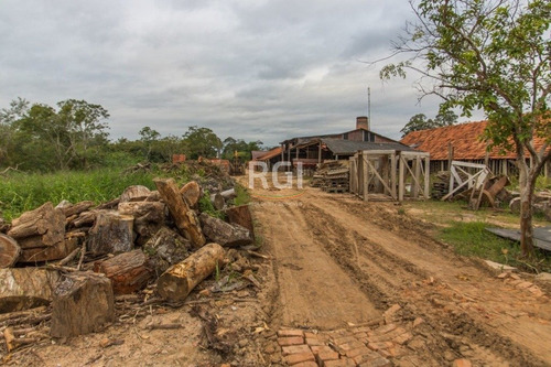 Terreno Em Ponta Grossa - El56354700