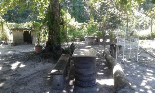 Imagem 5 de 12 de Chácara No Bairro São Fernando Em Itanhaém - 7242