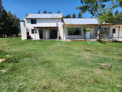 Imagen 16 de 30 de Chacra 5 Hs Con 2 Casas - Consulte !!! - Zona Rural Zona Rural
