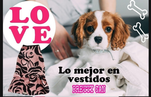 Vestidos Para Perrita Talla 4 Marca Pretty Can