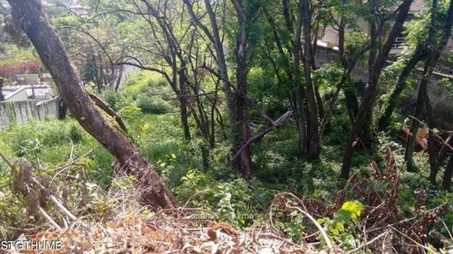 Imagem 1 de 15 de Terreno Venda Beiral Das Pedras Atibaia - Te0232-1
