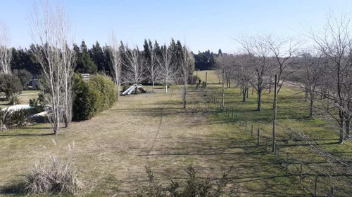 Otro En Venta En Tomas Jofre