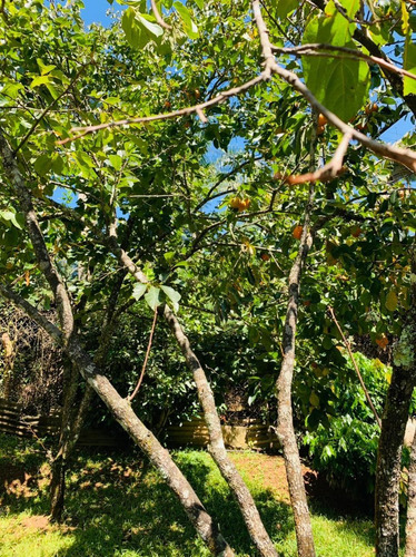 Imagem 14 de 30 de Linda Chácara À Venda Em Mairiporã/sp - 0127 - 34968823