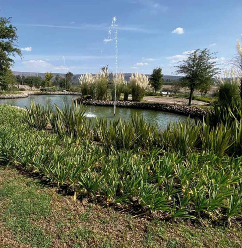 Increíble Terreno En Zona De Mayor Plusvalía