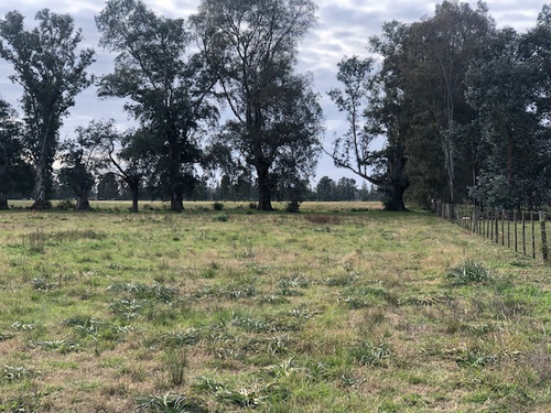 Loteo La Eugenia By Moradas Venta De Lotes Con Amplia Financiacion En Ezeiza