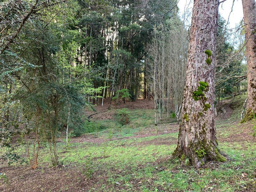 Casa En Venta De 7 Dorm. En Panguipulli