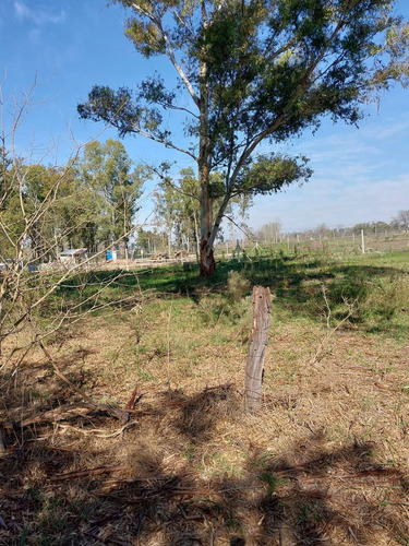 Lote En Venta En La Cañada I, City Bell