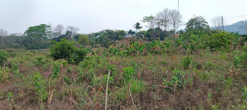 Terreno En Renta De Terreno A Pie De Carretera En Sebastopol Tuxtepec Oaxaca