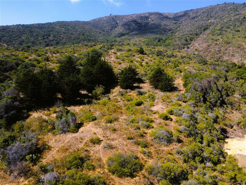 Terreno En Venta En Zapallar