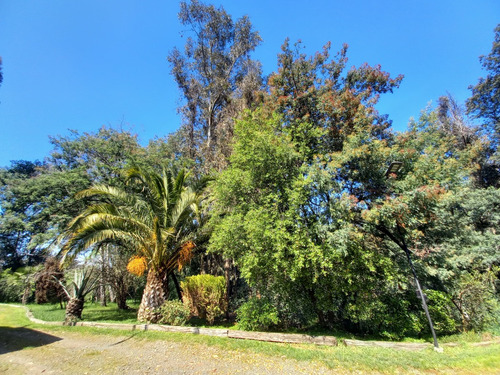 Camino Las Violetas, Sector El Arrayán