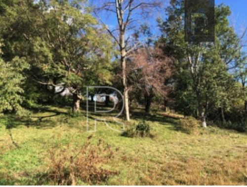 Imagen 2 de 15 de Inversionistas/ Terreno 8 Hectareas/ Camino Villarrica Pucon