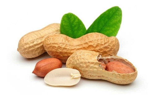 Imagen 2 de 8 de Semillas De Mani Cacahuate Para Tu Huerta