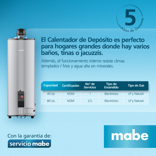 Calentador Automático 38lts Mabe Cdm40slp 10g Gas Lp Color Gris