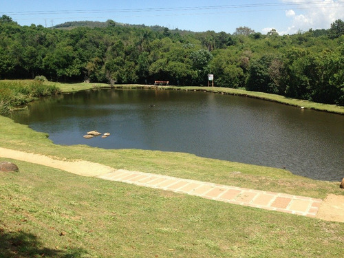 Imagem 5 de 15 de Terreno - Petropolis - Ref: 211627 - V-211627