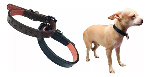 Collar Para Perros, Broche Y Diseños Huesitos Razas Pequeñas