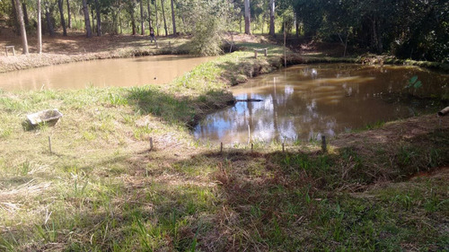 Sitio Com 50.000 Metros Quadrados Em Caxambu Sul De Minas , 09 Klm Da Cidade, Muita Água,bom Para Piscicultura, 03 Lagos Com Peixe. - 246