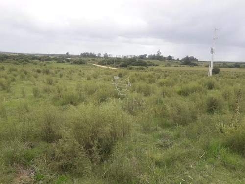 Campo De 5 Has Con 5891 M2