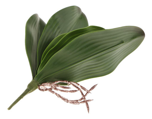 Ta 2 Hojas Artificiales De Orquídea Verde