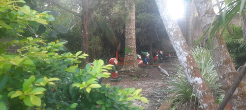 Imagem 5 de 8 de Chacara - Ref: 7057 - V-7057