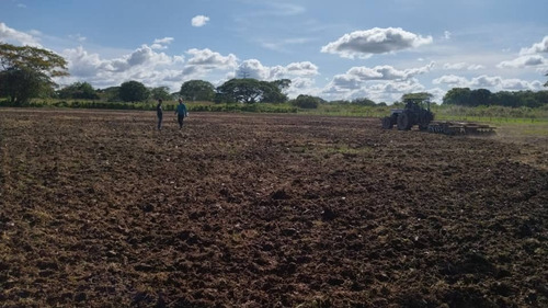 Imagen 8 de 13 de Hermosa Finca En Achaguas Apure A Tan Solo Minutos De La Carretera Nacional Código 10791 Niurka 04148321738