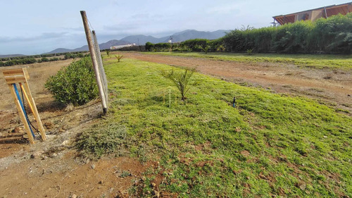 Parcela 6000 M2 Cercana A Ruta 43, Coquimbo (175018)