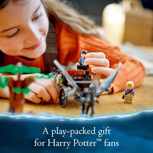 Kit De Construcción Lego Harry Potter Hogwarts Cestral Carri