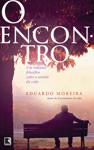 O encontro: Um romance filosófico sobre o sentido da vida: Um romance filosófico sobre o sentido da vida, de Moreira, Eduardo. Editora Record Ltda., capa mole em português, 2014