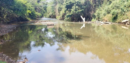 Fazenda De Gado Arinos Mg 2.250 Hectares 65.000,000,00 - 38491