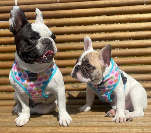 Arnés Para Perros Fuzzyard Candy Hearts | Talla Xl | Ajuste