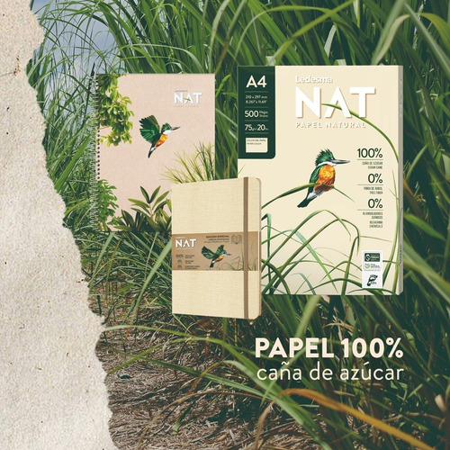 Imagen 4 de 9 de 10 Resmas A4 Ledesma Nat 75grs Papel Natural Eco 250 Hojas