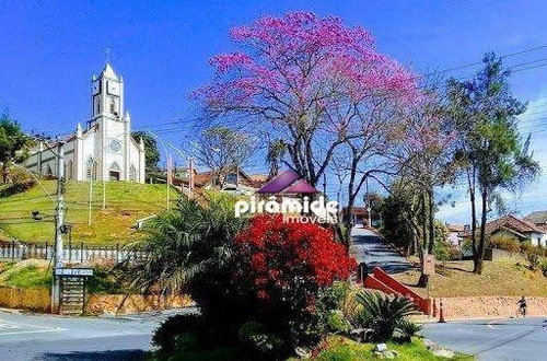 Imagem 6 de 13 de Terreno À Venda, 1500 M² Por R$ 350.000,00 - Centro - Santo Antônio Do Pinhal/sp - Te1378