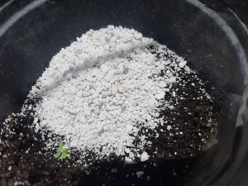 Perlita Para Sustrato De Plantas (125 L)