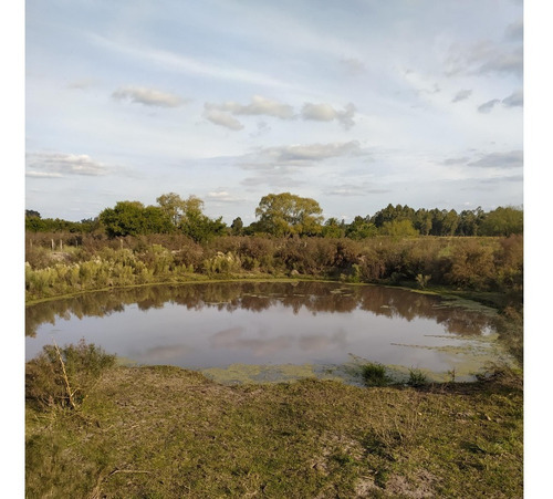 Imagen 12 de 12 de Vendo Muy Linda Chacra, Casa A Nuevo, Cañada Con Agua Permanente Todo Alambrado Consulte