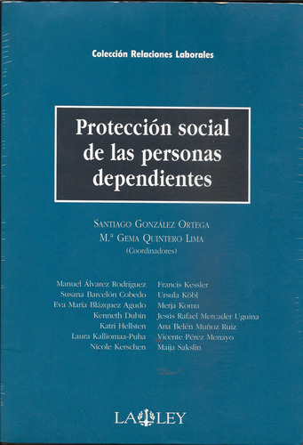 Gonzalez Proteccion Social De Las Personas Dependientes