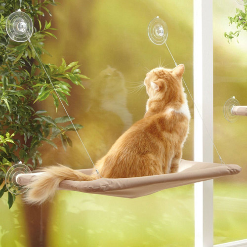 Cat Window Perch Hamaca Montada En La Ventana De La Cama Del
