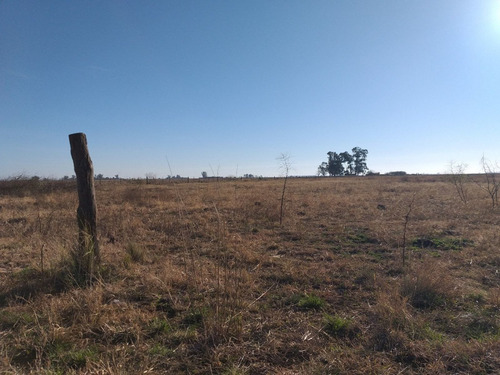 Imagen 4 de 13 de Vendo 90 Hectareas Ganaderas En Ucles, Cba