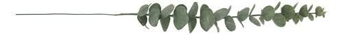 Folhas Artificiais De Eucalipto, Caules, 36 Unidades, Verde