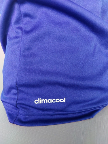 Camisa Japão 2014 Tamanho 47x68 Cmm04j (Usado)