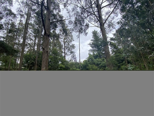 Imagen 10 de 11 de Sitio En Venta En San Pedro De La Paz. Andalue