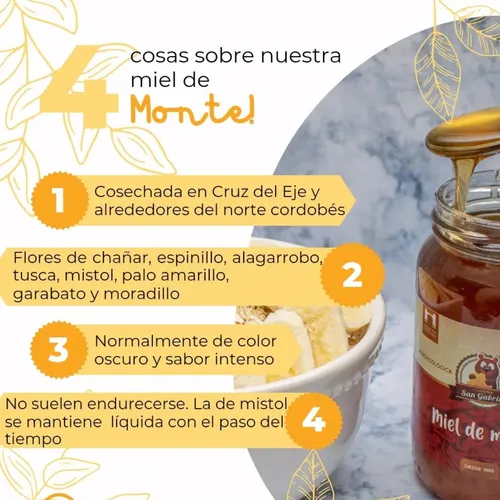 Miel De Monte Pura 4kg Sin Gluten | Natural Y Agroecológica