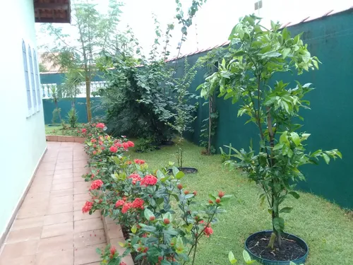 Casa Térrea C/ 3 Quartos, 2 Banheiros - São João Batista Ll Peruíbe/sp