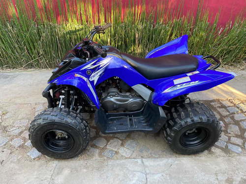 Imagen 2 de 15 de Yamaha Raptor 90