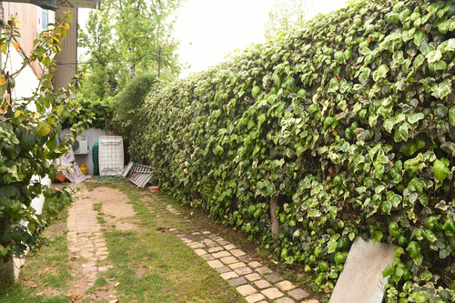 Casa Venta 5d 4b Servicios Metro Dominicos Terreno