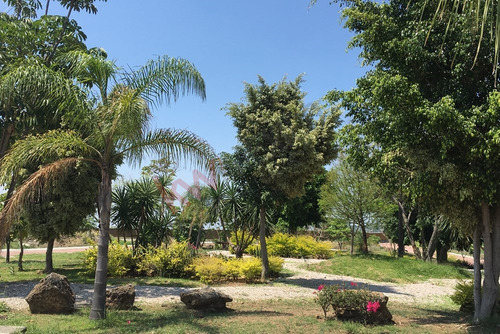 Tu Refugio En Tlayacapan Vive En Residencial Cerca Del Cielo