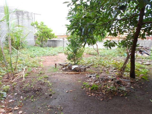 Imagem 7 de 10 de Galpão À Venda, Parque Da Mooca - São Paulo/sp - 136